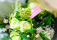 img about corporrate 2