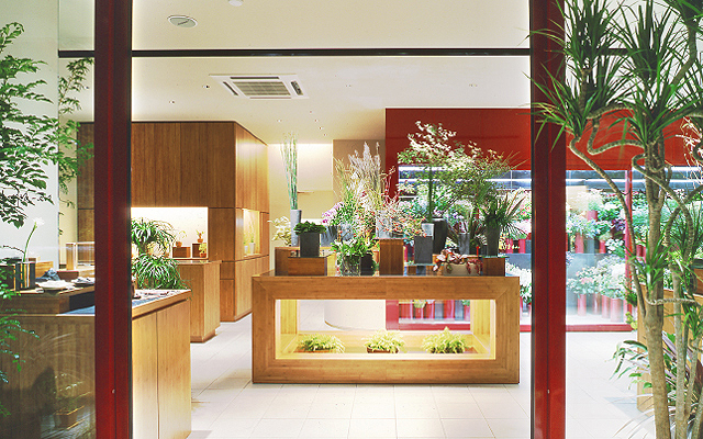 img shop
