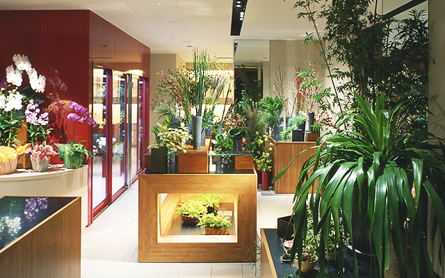 img shop